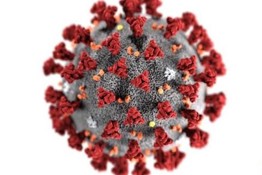 Season Postponed due to Covid-19